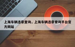 上海车辆违章查询，上海车辆违章查询平台官方网站