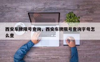 西安车牌限号查询，西安车牌限号查询字母怎么查