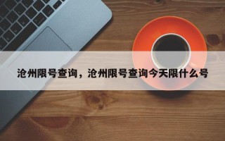 沧州限号查询，沧州限号查询今天限什么号