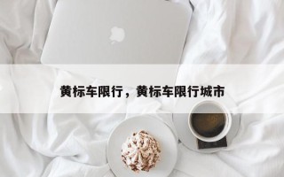 黄标车限行，黄标车限行城市