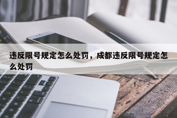 违反限号规定怎么处罚，成都违反限号规定怎么处罚-第1张图片-瓜子百科网